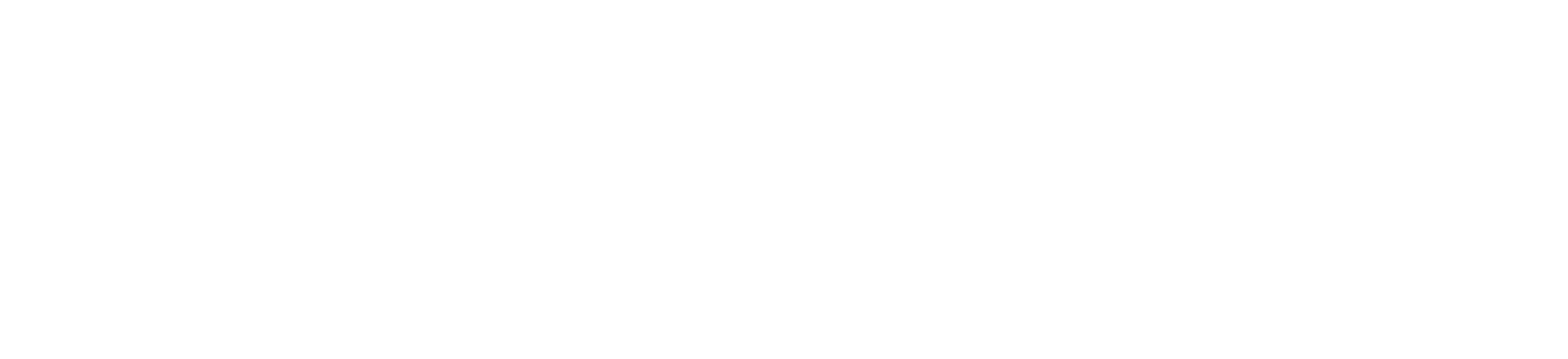 Bruns Bros. Logo White